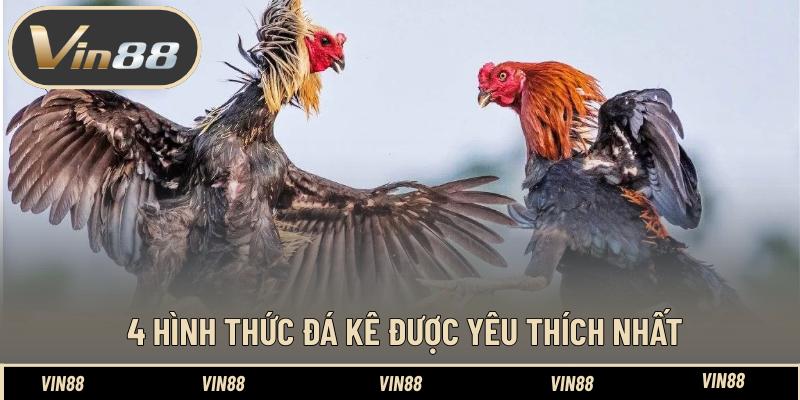 Đá Gà – Những Trận Đá Kê Đỉnh Cao Đẳng Cấp Đứng Đầu - spintiva96.work