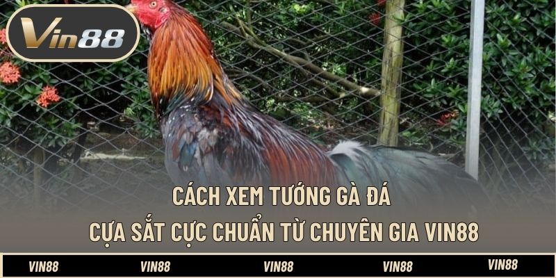 Xổ Số Siêu Tốc 45s - Hướng Dẫn Luật Và Cách Chơi Dễ - spintiva96.work