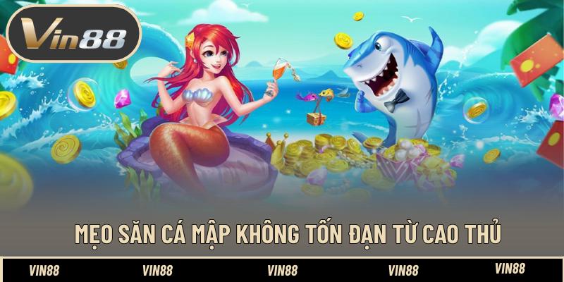 Mẹo Săn Cá Mập Không Tốn Đạn Hay Dành Cho Tân Thủ - spintiva96.work Mẹo Săn Cá Mập Không Tốn Đạn Hay Dành Cho Tân Thủ - spintiva96.work