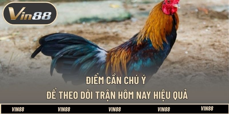 Lịch Thi Đấu Gà Tre Philippines Hôm Nay - Nắm Bắt Diễn Biến - spintiva96.work Lịch Thi Đấu Gà Tre Philippines Hôm Nay - Nắm Bắt Diễn Biến - spintiva96.work