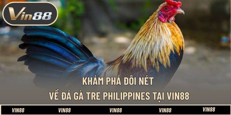 Lịch Thi Đấu Gà Tre Philippines Hôm Nay - Nắm Bắt Diễn Biến - spintiva96.work Lịch Thi Đấu Gà Tre Philippines Hôm Nay - Nắm Bắt Diễn Biến - spintiva96.work