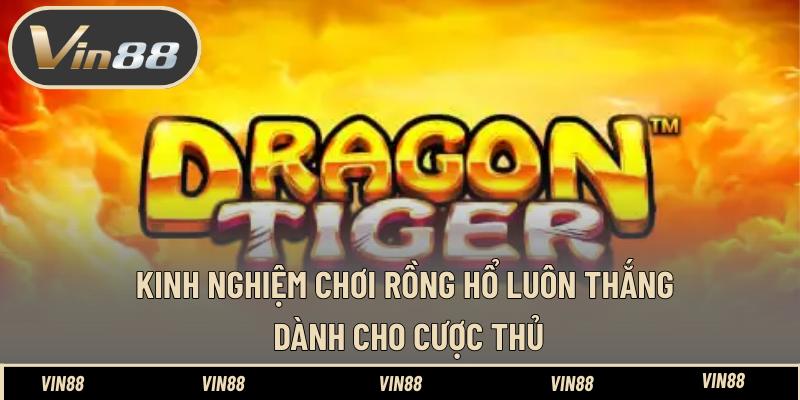 Tải Nổ Hũ Tặng Code - Hướng Dẫn Cài Và Nhận Mã Thưởng - spintiva96.work