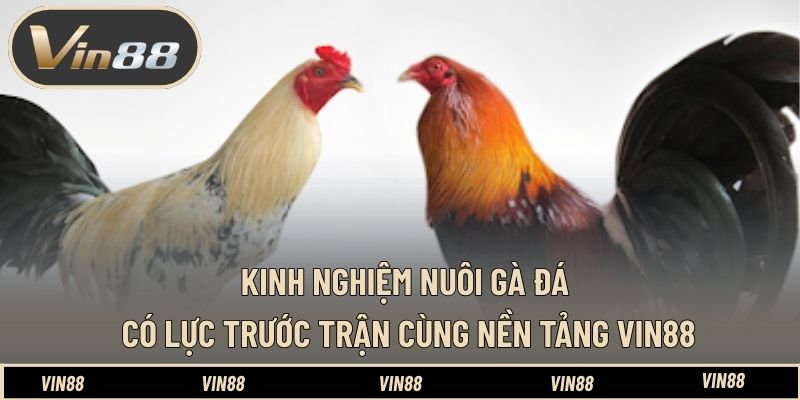 Cách Test Game Slot - Hướng Dẫn Kiểm Tra Trước Khi Chơi - spintiva96.work