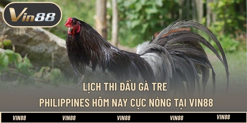 Lịch Thi Đấu Gà Tre Philippines Hôm Nay - Nắm Bắt Diễn Biến - spintiva96.work