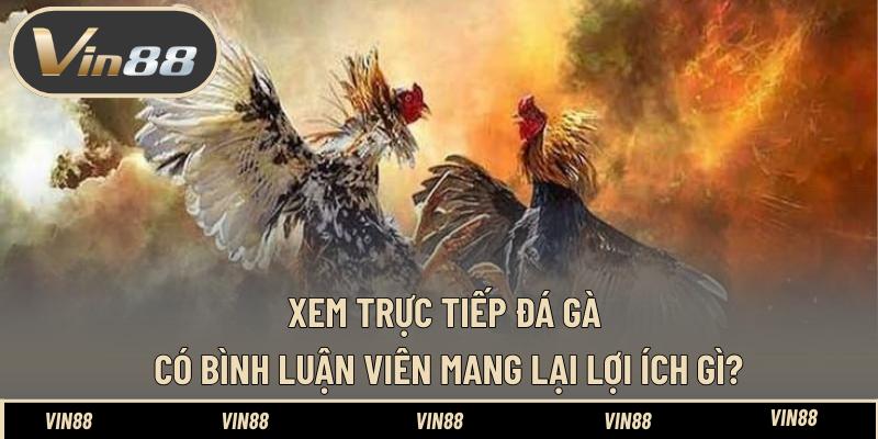Xem Trực Tiếp Đá Gà Thomo Bình Luận Viên Tiếng Việt Hay - spintiva96.work Xem Trực Tiếp Đá Gà Thomo Bình Luận Viên Tiếng Việt Hay - spintiva96.work