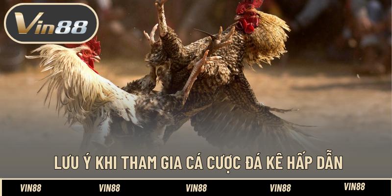 Đá Gà – Những Trận Đá Kê Đỉnh Cao Đẳng Cấp Đứng Đầu - spintiva96.work