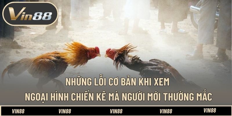 Cách Xem Tướng Gà Đá Cựa Sắt Cực Chuẩn Từ Chuyên Gia VIN88 - spintiva96.work Cách Xem Tướng Gà Đá Cựa Sắt Cực Chuẩn Từ Chuyên Gia VIN88 - spintiva96.work