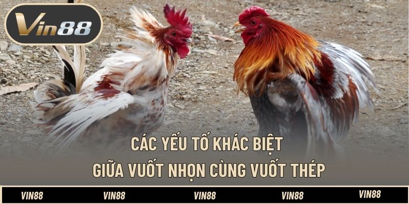 Phân Biệt Đá Gà Cựa Dao Và Cựa Sắt - Hiểu Đúng Bản Chất - spintiva96.work Phân Biệt Đá Gà Cựa Dao Và Cựa Sắt - Hiểu Đúng Bản Chất - spintiva96.work