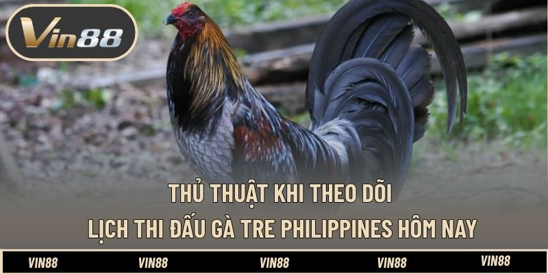 Lịch Thi Đấu Gà Tre Philippines Hôm Nay - Nắm Bắt Diễn Biến - spintiva96.work Lịch Thi Đấu Gà Tre Philippines Hôm Nay - Nắm Bắt Diễn Biến - spintiva96.work