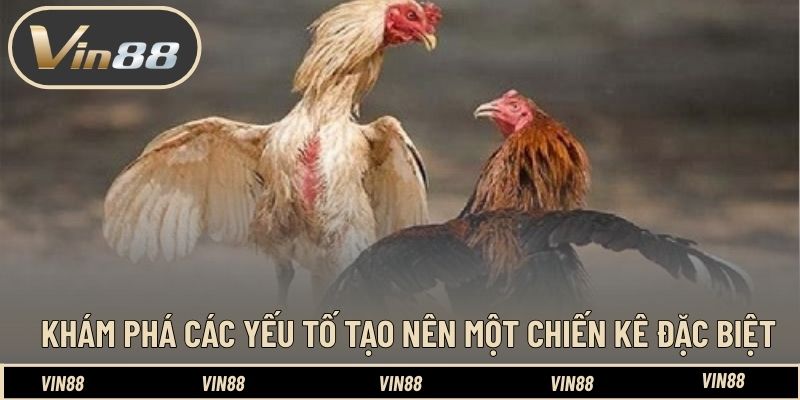 Top Các Chiến Kê Huyền Thoại Tại Đấu Trường CPC - Tinh Hoa - spintiva96.work Top Các Chiến Kê Huyền Thoại Tại Đấu Trường CPC - Tinh Hoa - spintiva96.work