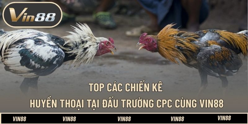 Tải App VIN88 Android - Hướng Dẫn Cài Đặt Trên Máy - spintiva96.work