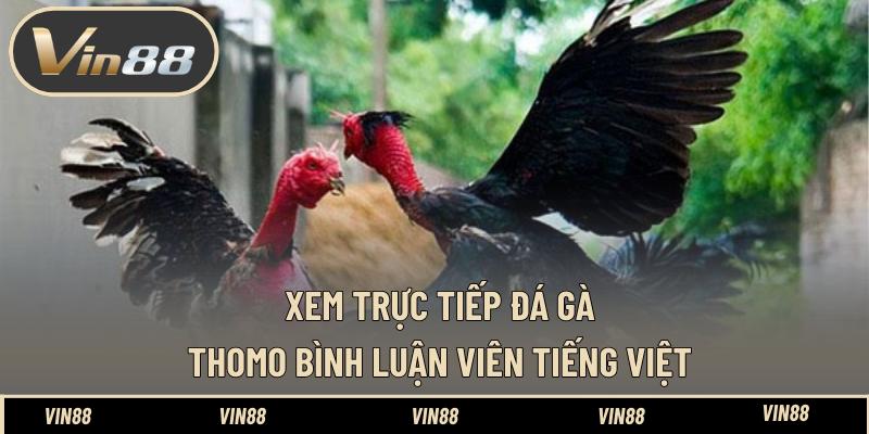 Xem Trực Tiếp Đá Gà Thomo Bình Luận Viên Tiếng Việt Hay - spintiva96.work Xem Trực Tiếp Đá Gà Thomo Bình Luận Viên Tiếng Việt Hay - spintiva96.work