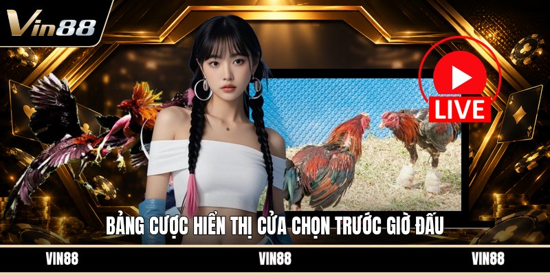 Sảnh Đá Gà WS168 - Tổng Quan Cách Chơi Và Luật Cược - spintiva96.work