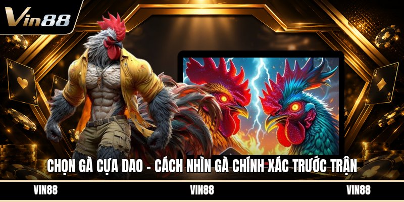 Tải App VIN88 Android - Hướng Dẫn Cài Đặt Trên Máy - spintiva96.work