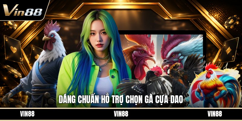 Chọn Gà Cựa Dao - Cách Nhìn Gà Chính Xác Trước Trận - spintiva96.work