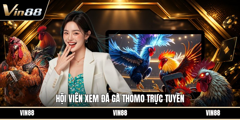 Xem Đá Gà Thomo - Cách Theo Dõi Trận Đấu Trực Tuyến - spintiva96.work
