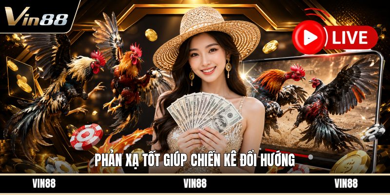 Chọn Gà Cựa Dao - Cách Nhìn Gà Chính Xác Trước Trận - spintiva96.work
