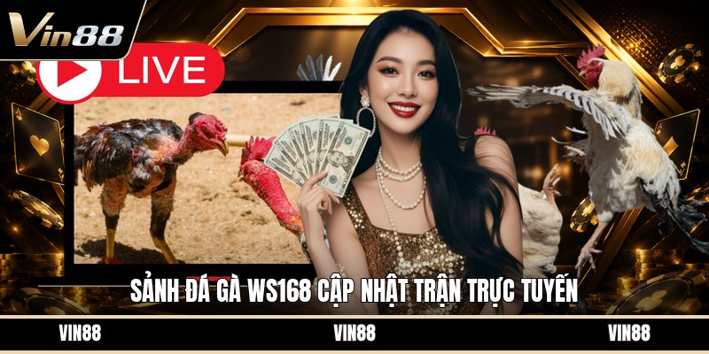 Sảnh Đá Gà WS168 - Tổng Quan Cách Chơi Và Luật Cược - spintiva96.work