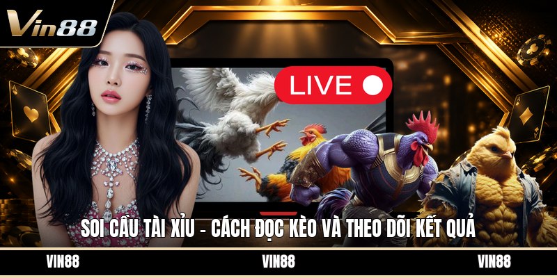 Soi Cầu Tài Xỉu - Cách Đọc Kèo Và Theo Dõi Kết Quả - spintiva96.work