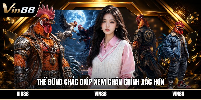 Chọn Gà Cựa Dao - Cách Nhìn Gà Chính Xác Trước Trận - spintiva96.work