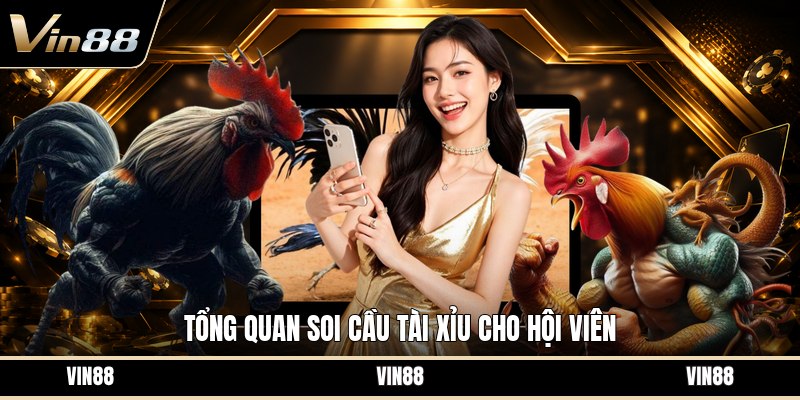 Soi Cầu Tài Xỉu - Cách Đọc Kèo Và Theo Dõi Kết Quả - spintiva96.work