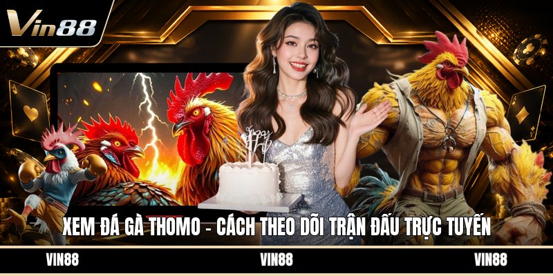 Xem Đá Gà Thomo - Cách Theo Dõi Trận Đấu Trực Tuyến - spintiva96.work
